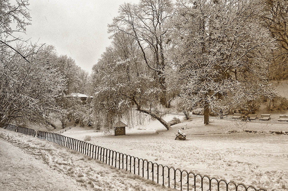 Фотографія Зима пришла / Щукін Олександр / photographers.ua