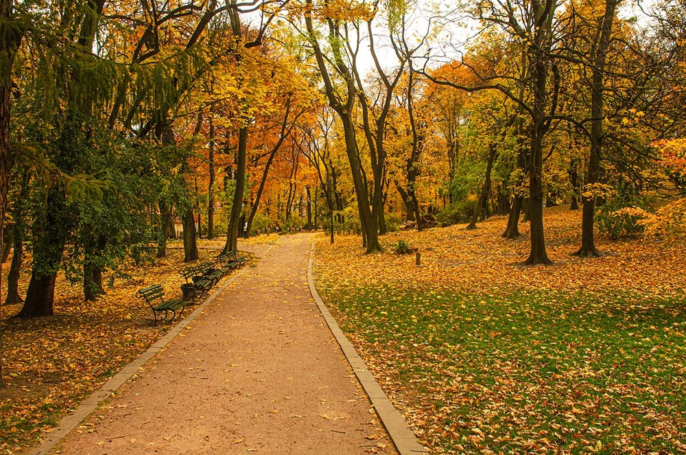 Фотографія Пейзаж / Щукін Олександр / photographers.ua