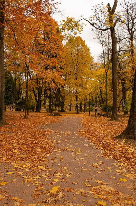 Фотографія Пейзаж / Щукін Олександр / photographers.ua