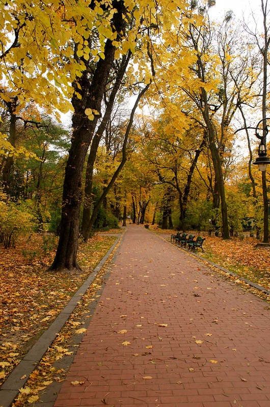 Фотографія Осінній парк / Щукін Олександр / photographers.ua