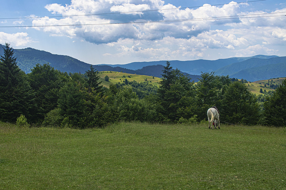 Фотографія Синевирський перевал / Щукін Олександр / photographers.ua