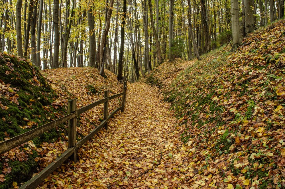 Фотографія Пейзаж / Щукін Олександр / photographers.ua