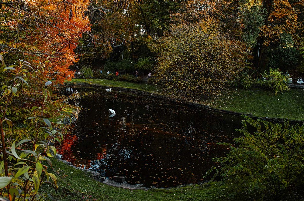 Фотографія Пейзаж / Щукін Олександр / photographers.ua