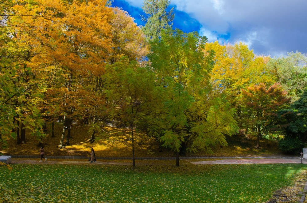 Фотографія Пейзаж / Щукін Олександр / photographers.ua