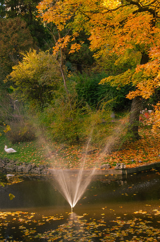 Фотографія Пейзаж / Щукін Олександр / photographers.ua