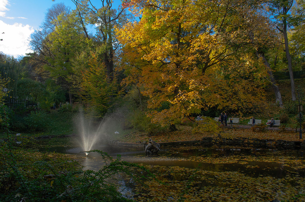 Фотографія Пейзаж / Щукін Олександр / photographers.ua