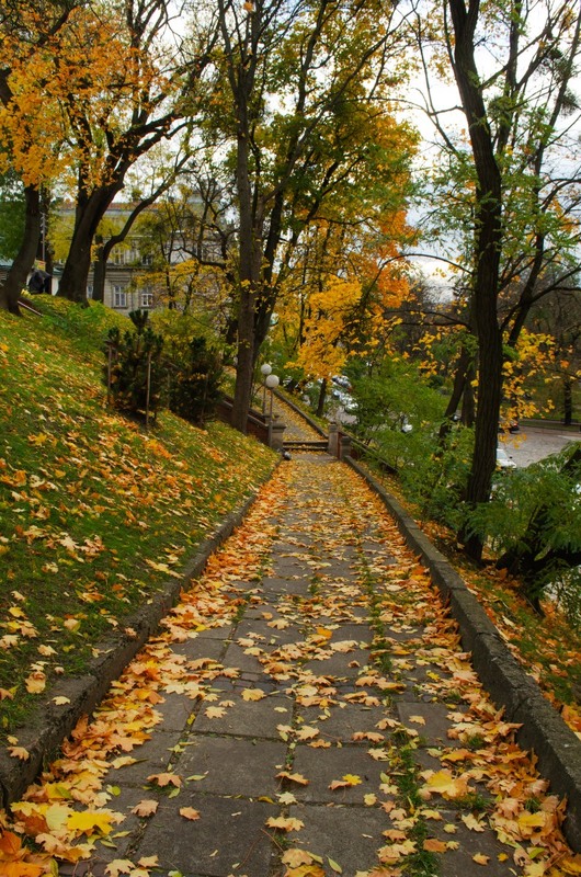 Фотографія Осінніми стежками / Щукін Олександр / photographers.ua