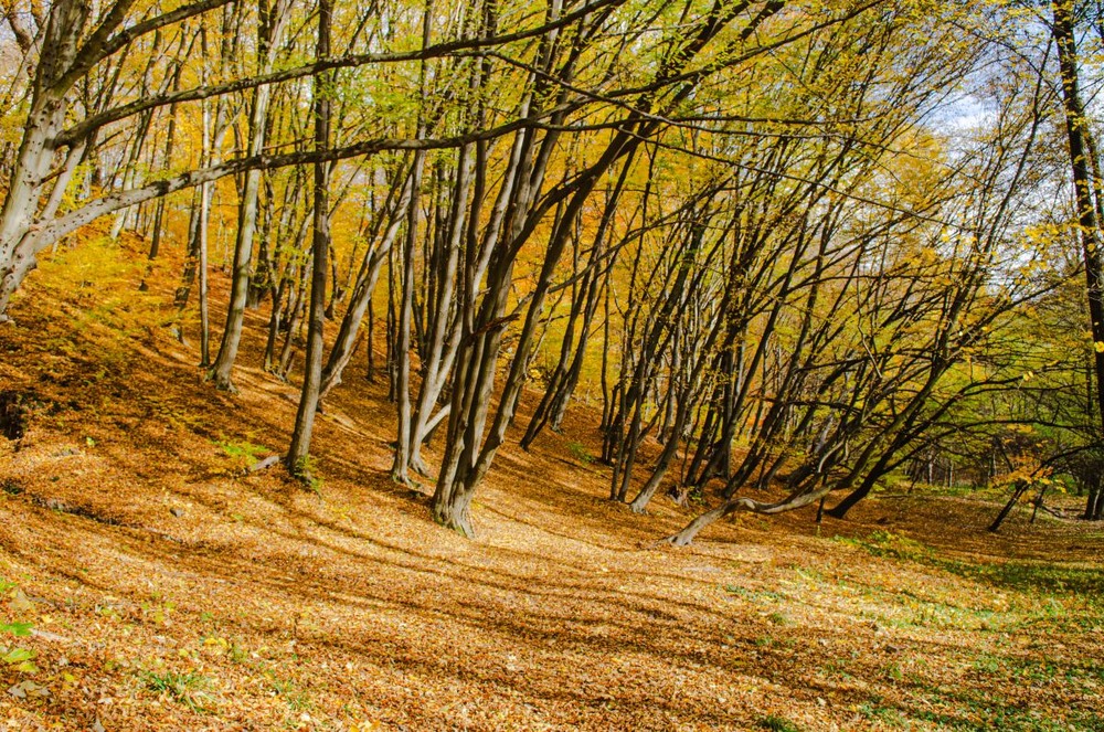 Фотографія Пейзаж / Щукін Олександр / photographers.ua