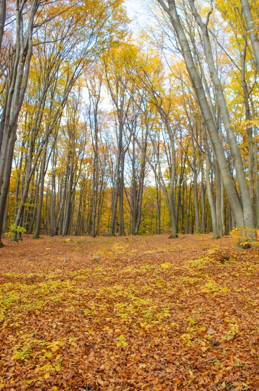Фотографія Пейзаж / Щукін Олександр / photographers.ua
