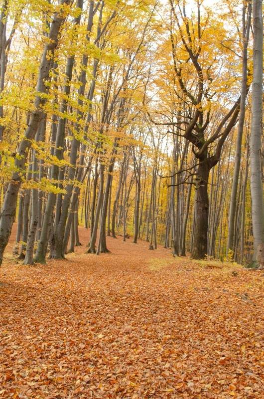 Фотографія Пейзаж / Щукін Олександр / photographers.ua