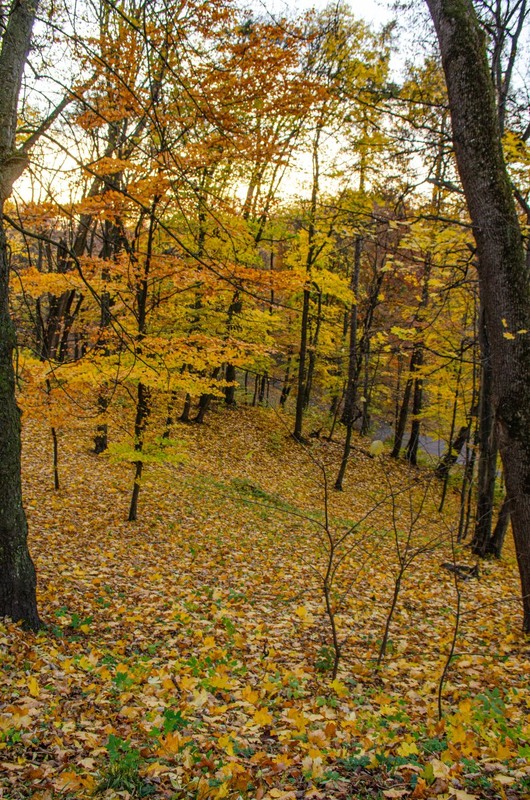 Фотографія Пейзаж / Щукін Олександр / photographers.ua