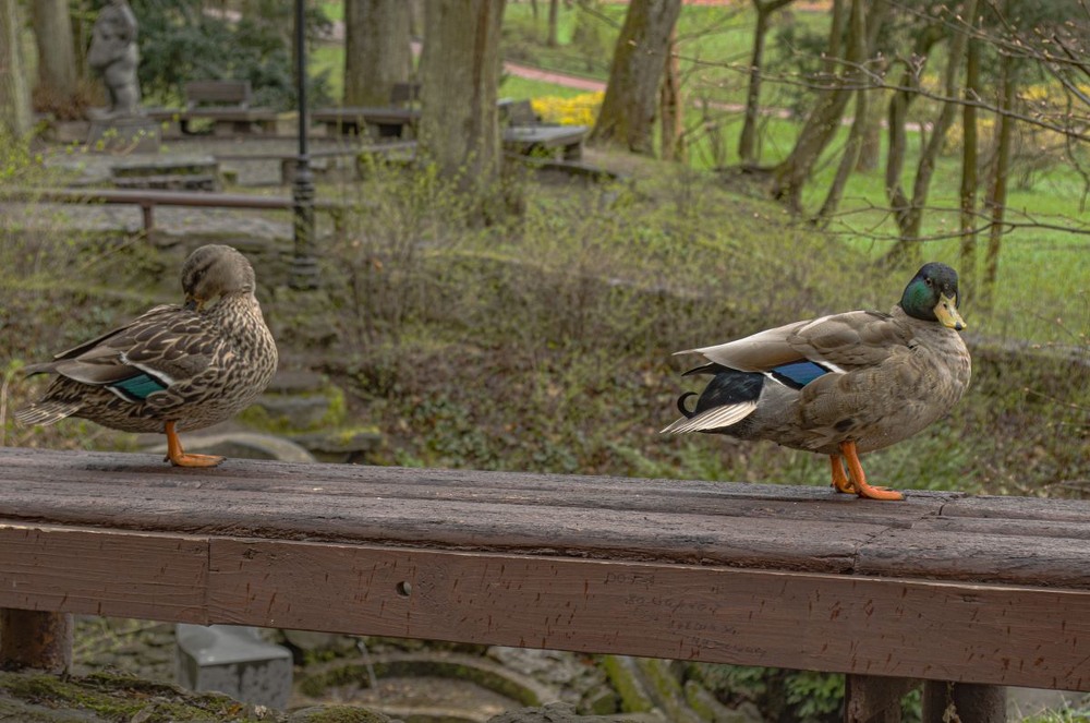 Фотографія *** / Щукін Олександр / photographers.ua