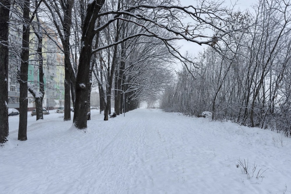 Фотографія Пейзаж / Александр Криничанский / photographers.ua
