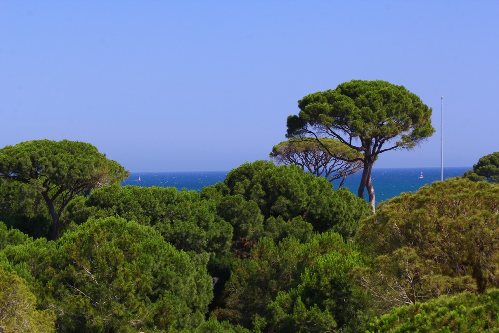 Фотографія Пейзаж / Александр Криничанский / photographers.ua