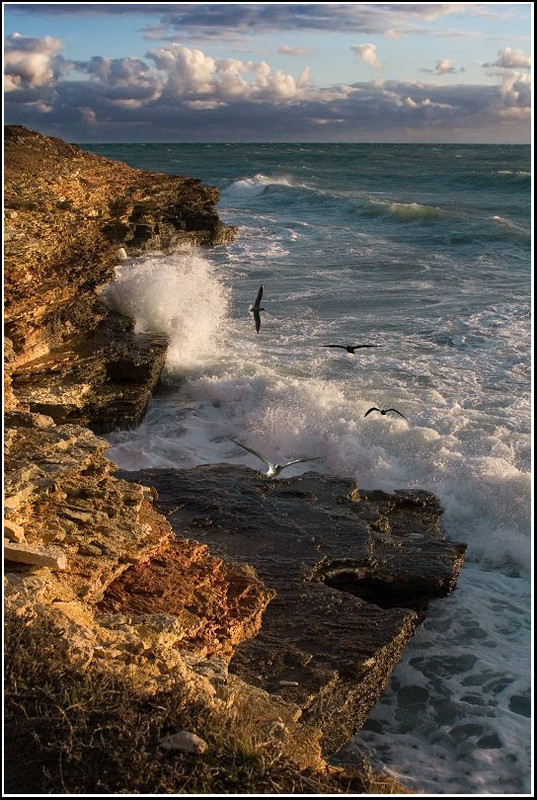 Фотографія КРЫМ. МЫС ТАРХАНКУТ. / Владимир Николаевич Albatros / photographers.ua