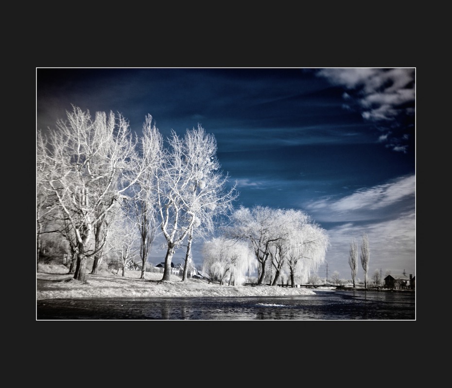 Фотографія Зима. 2. Інфрачервона. / SVP / photographers.ua