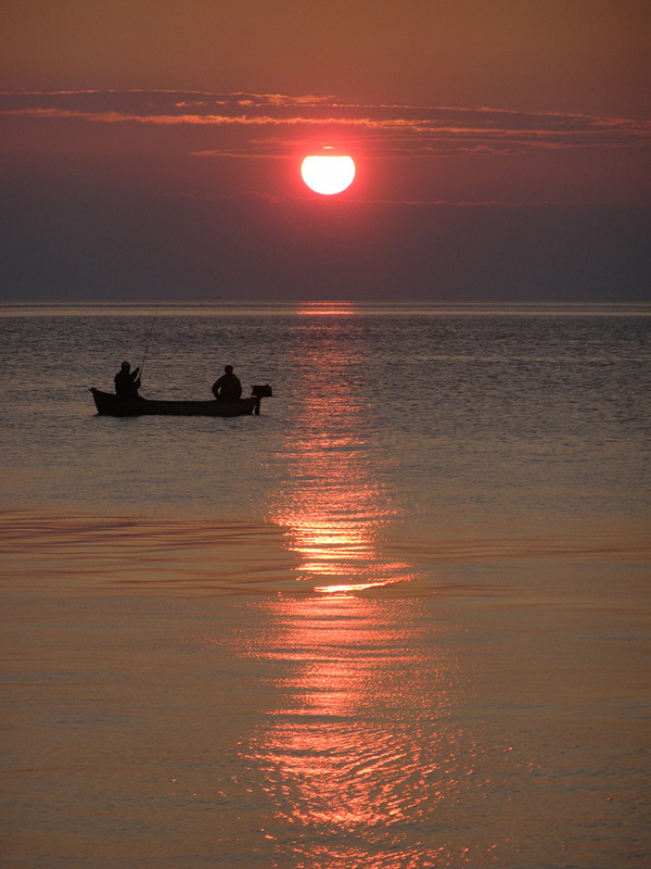 Фотографія В ранковій тиші / Таня Троянь / photographers.ua
