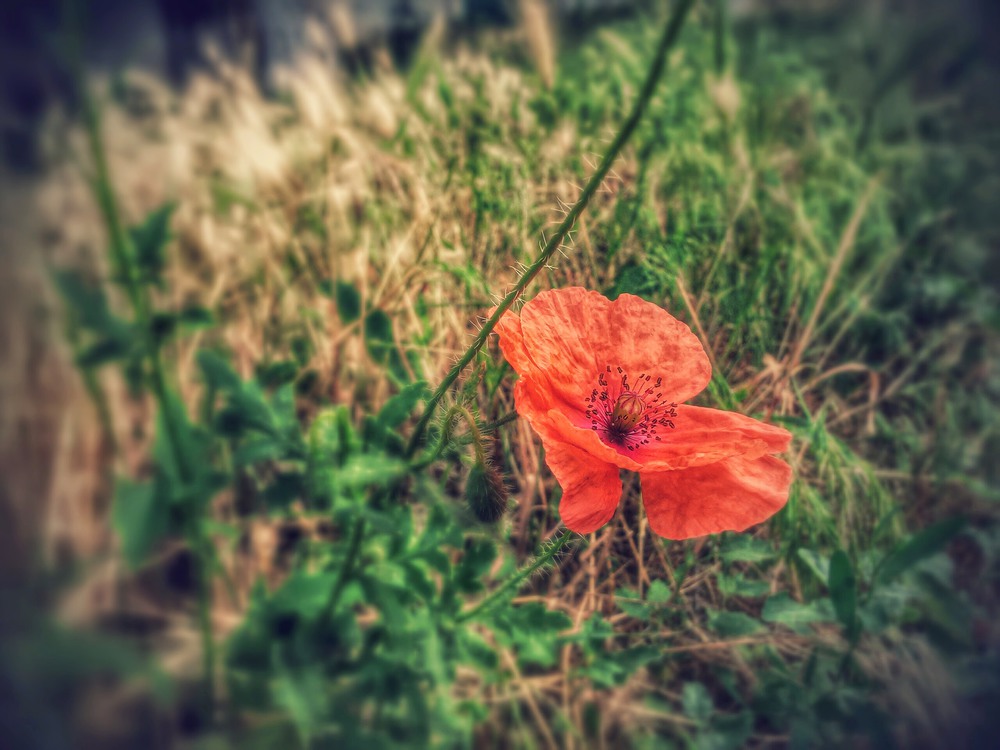 Фотографія DonbassUA / Serge Nikitin / photographers.ua