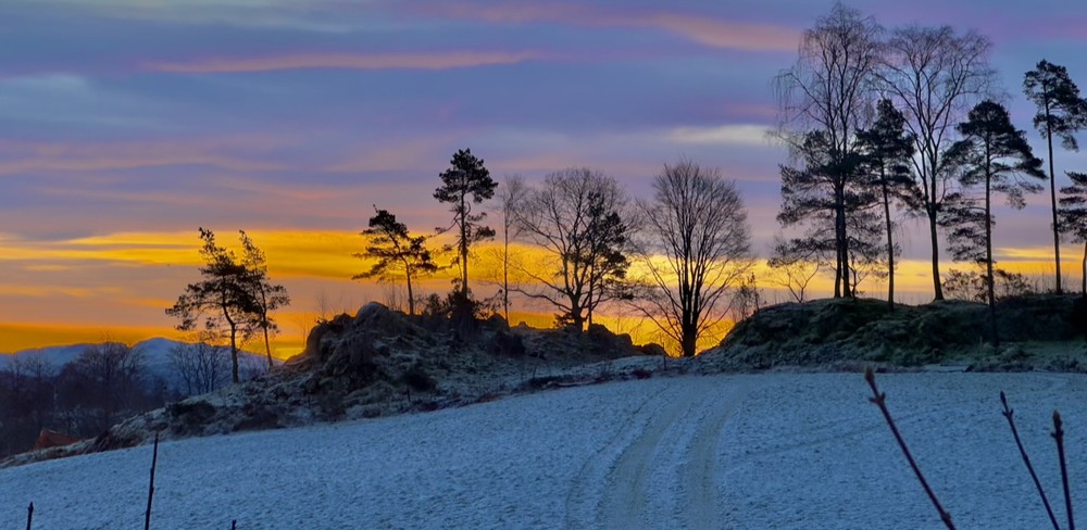 Фотографія Морозний ранок / Vyacheslavn / photographers.ua