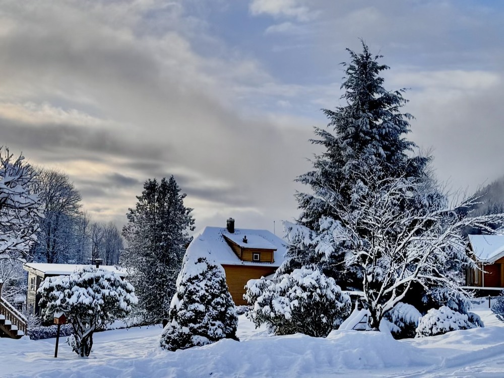 Фотографія пряникова зима / Vyacheslavn / photographers.ua