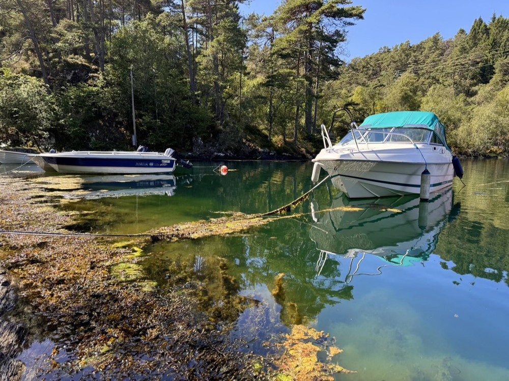 Фотографія 22 / Vyacheslavn / photographers.ua