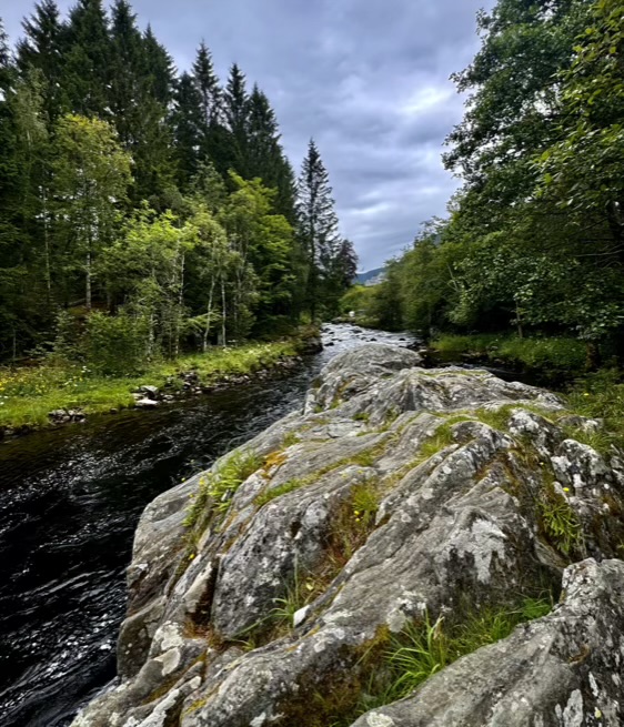 Фотографія Вихідні / Vyacheslavn / photographers.ua