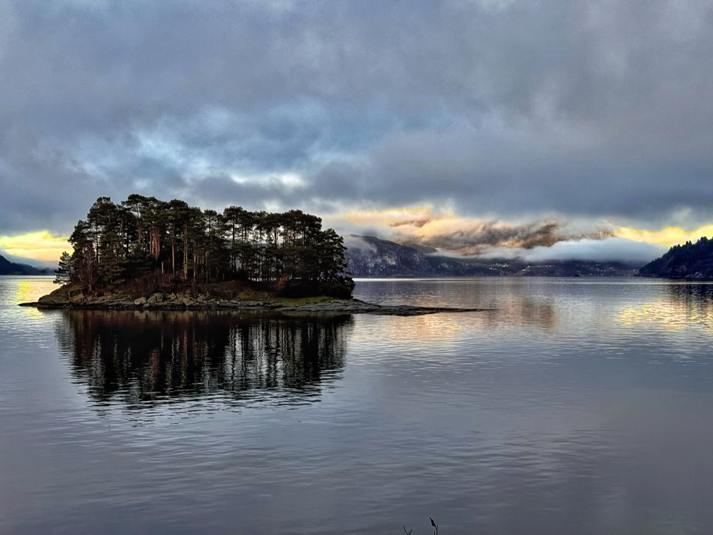 Фотографія Лісовий острів / Vyacheslavn / photographers.ua
