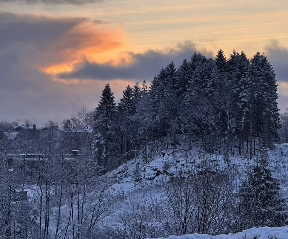 Фотографія 12 / Vyacheslavn / photographers.ua