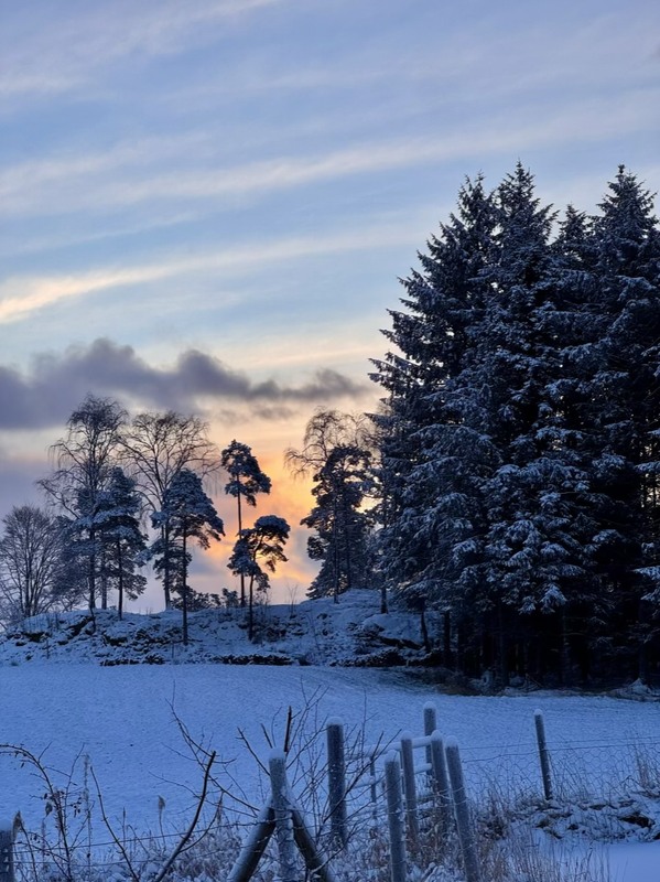 Фотографія Сніжний ранок / Vyacheslavn / photographers.ua