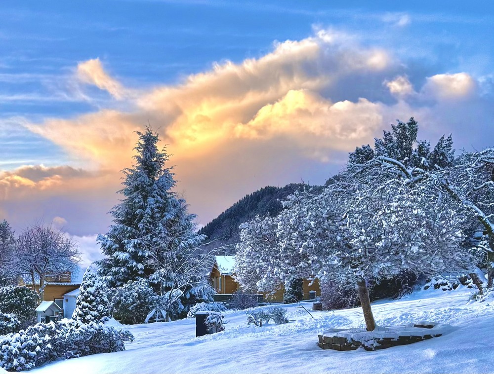 Фотографія … / Vyacheslavn / photographers.ua