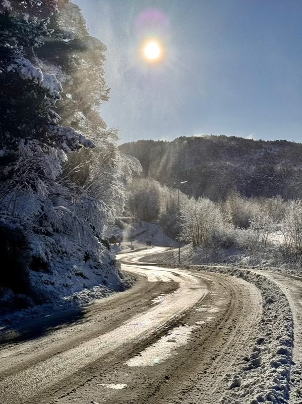 Фотографія Дорога до дому / Vyacheslavn / photographers.ua
