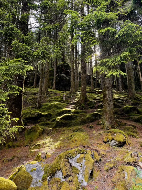 Фотографія … / Vyacheslavn / photographers.ua