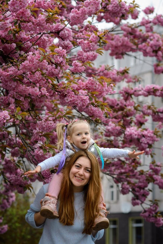 Фотографія Сакура, мама та донька / Олена Рижова / photographers.ua