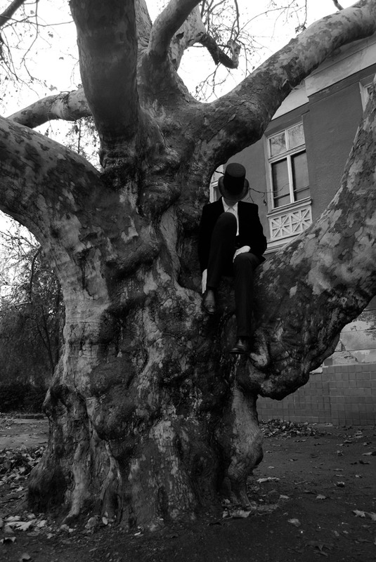 Фотографія кто-то на дереве / Катариус Шипикова / photographers.ua