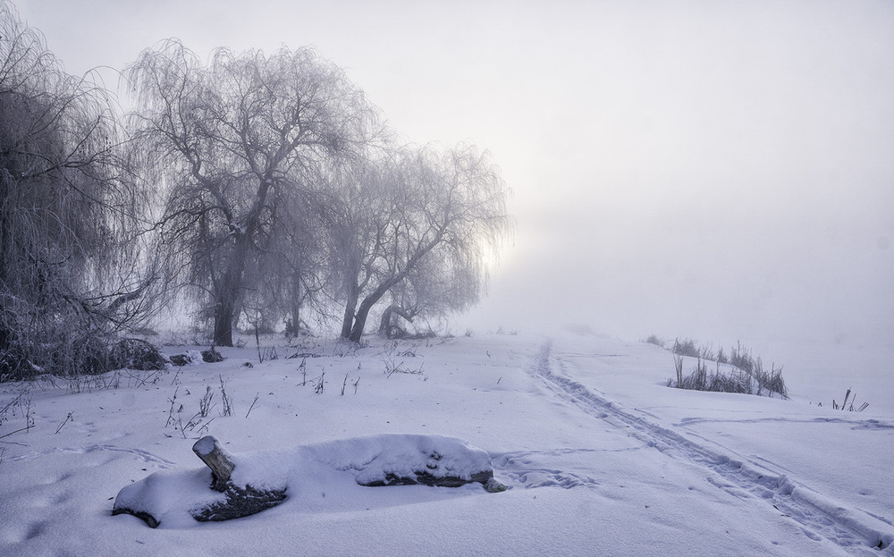Фотографія Зимові "Миколині тумани"... / Farernik / photographers.ua