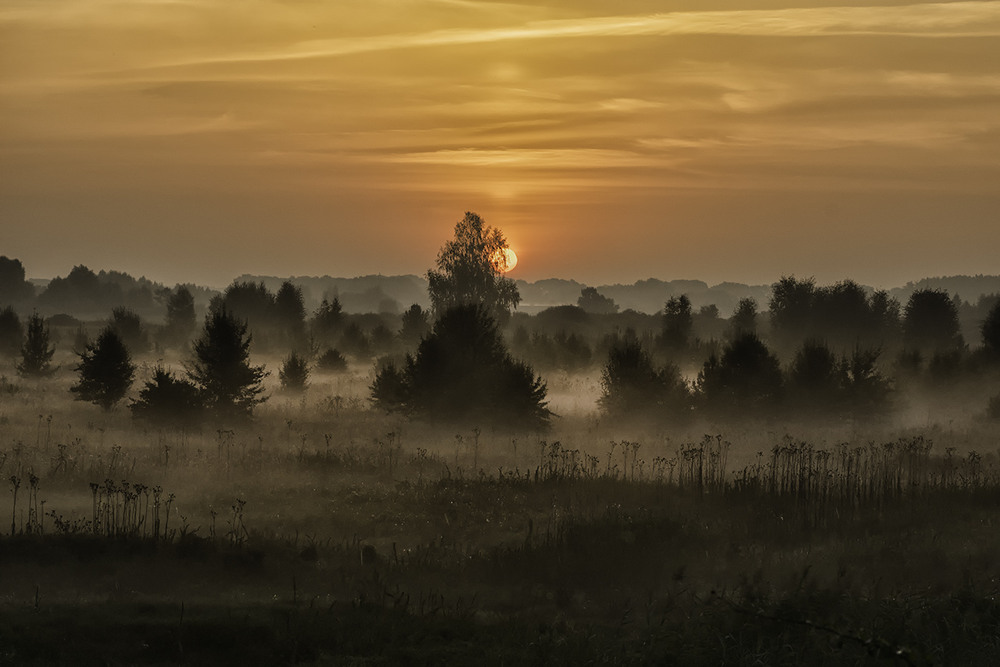 Фотографія Миколині тумани... / Farernik / photographers.ua