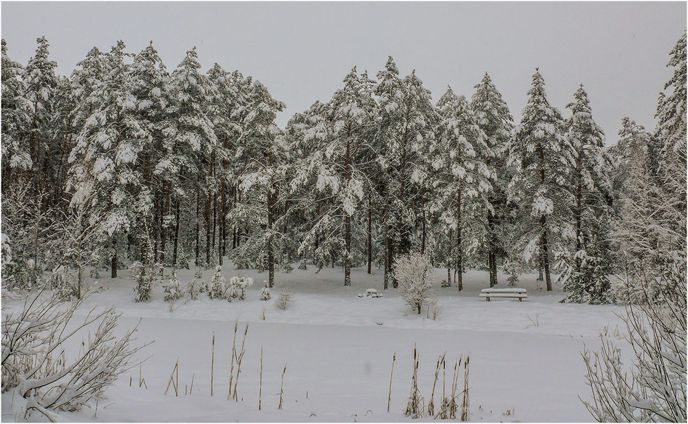 Фотографія Про зиму / Farernik / photographers.ua