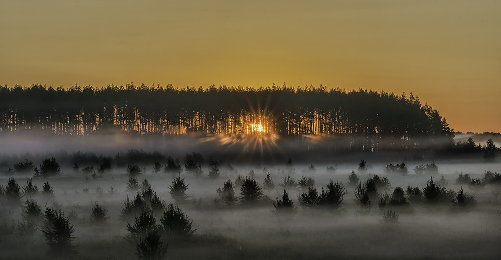 Фотографія Миколині тумани... / Farernik / photographers.ua