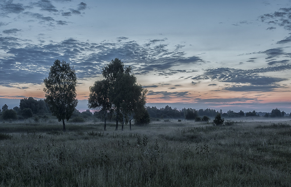 Фотографія Народження туману..."Миколині тумани" / Farernik / photographers.ua