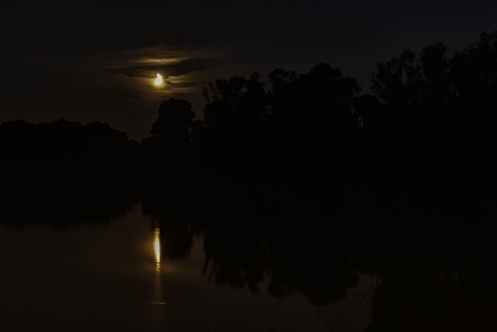 Фотографія Місяць по небу ходить... / Farernik / photographers.ua
