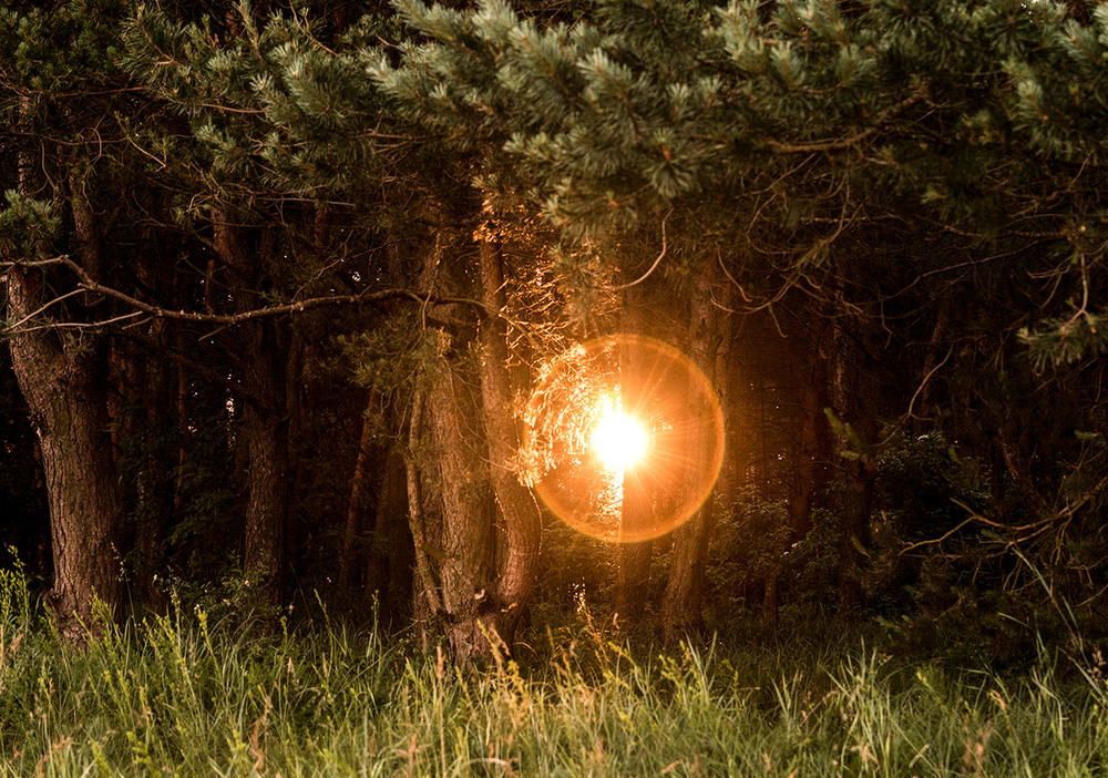 Фотографія Сонячне колесо... / Farernik / photographers.ua