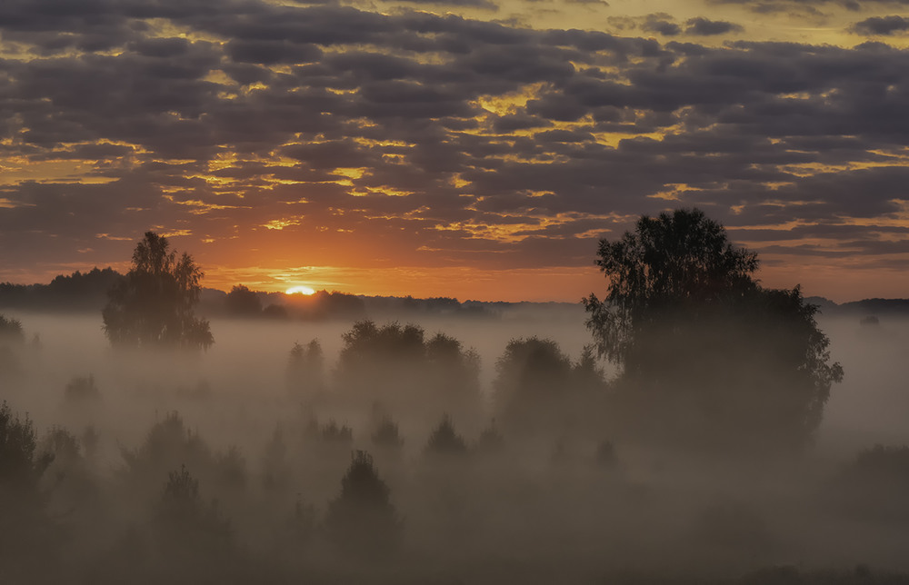 Фотографія Миколині тумани... / Farernik / photographers.ua