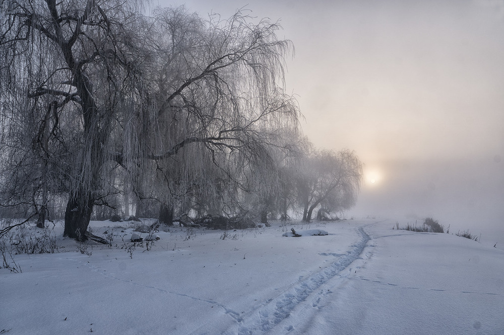 Фотографія Морозний ранок... / Farernik / photographers.ua