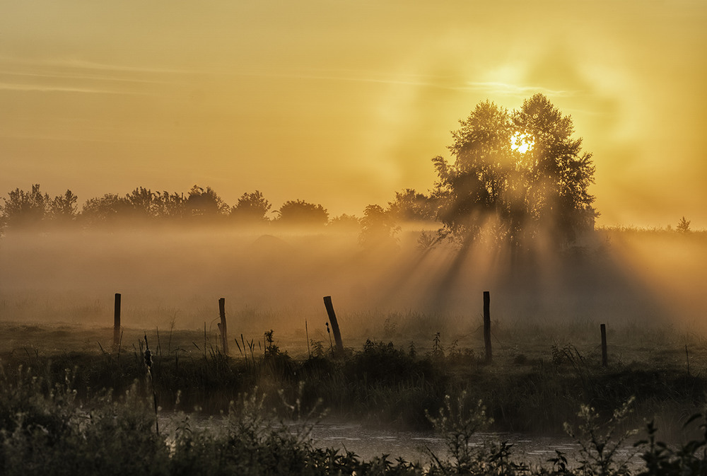 Фотографія Миколині тумани... / Farernik / photographers.ua