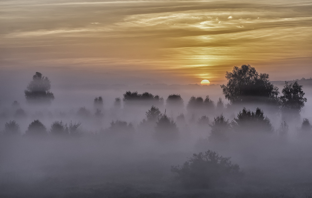 Фотографія Миколині тумани... / Farernik / photographers.ua