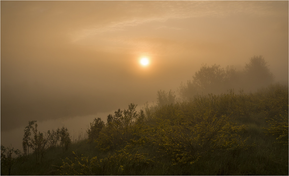 Фотографія Затуманене сонце... / Farernik / photographers.ua