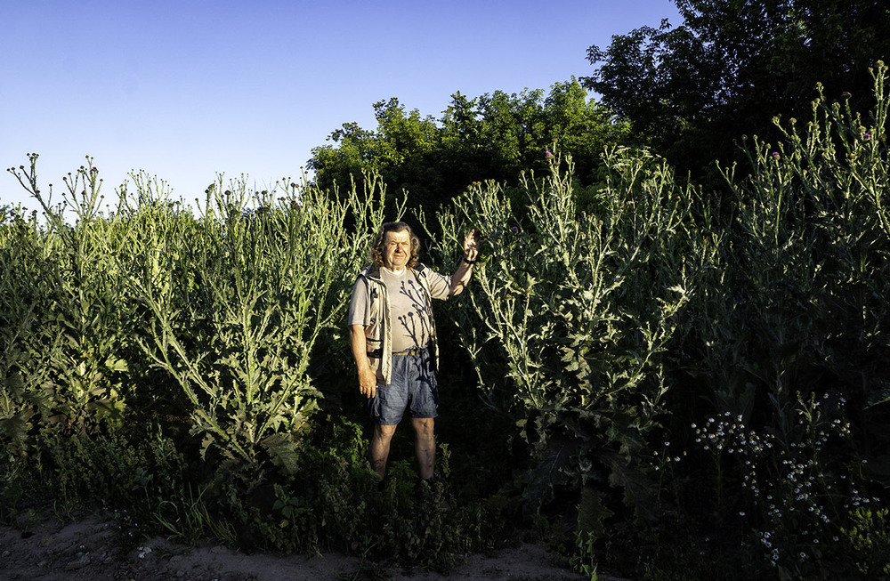 Фотографія Ранок з будяками... / Farernik / photographers.ua