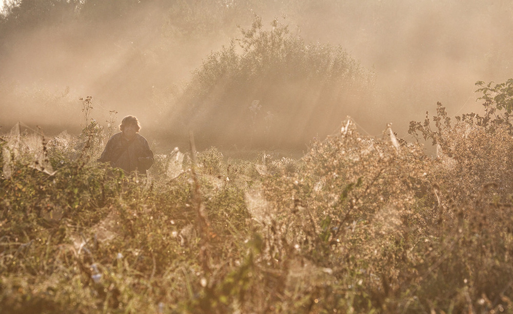 Фотографія В погоні за "Миколині тумани" / Farernik / photographers.ua