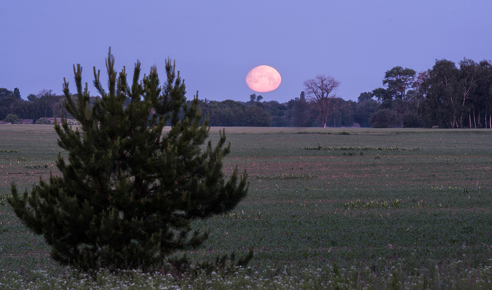 Фотографія 9 хв. між заходом Місяця і сходом Сонця... / Farernik / photographers.ua