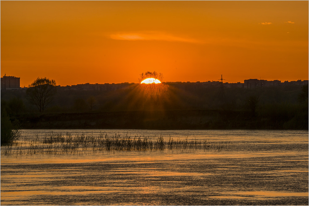 Фотографія Сонце у віночку... / Farernik / photographers.ua